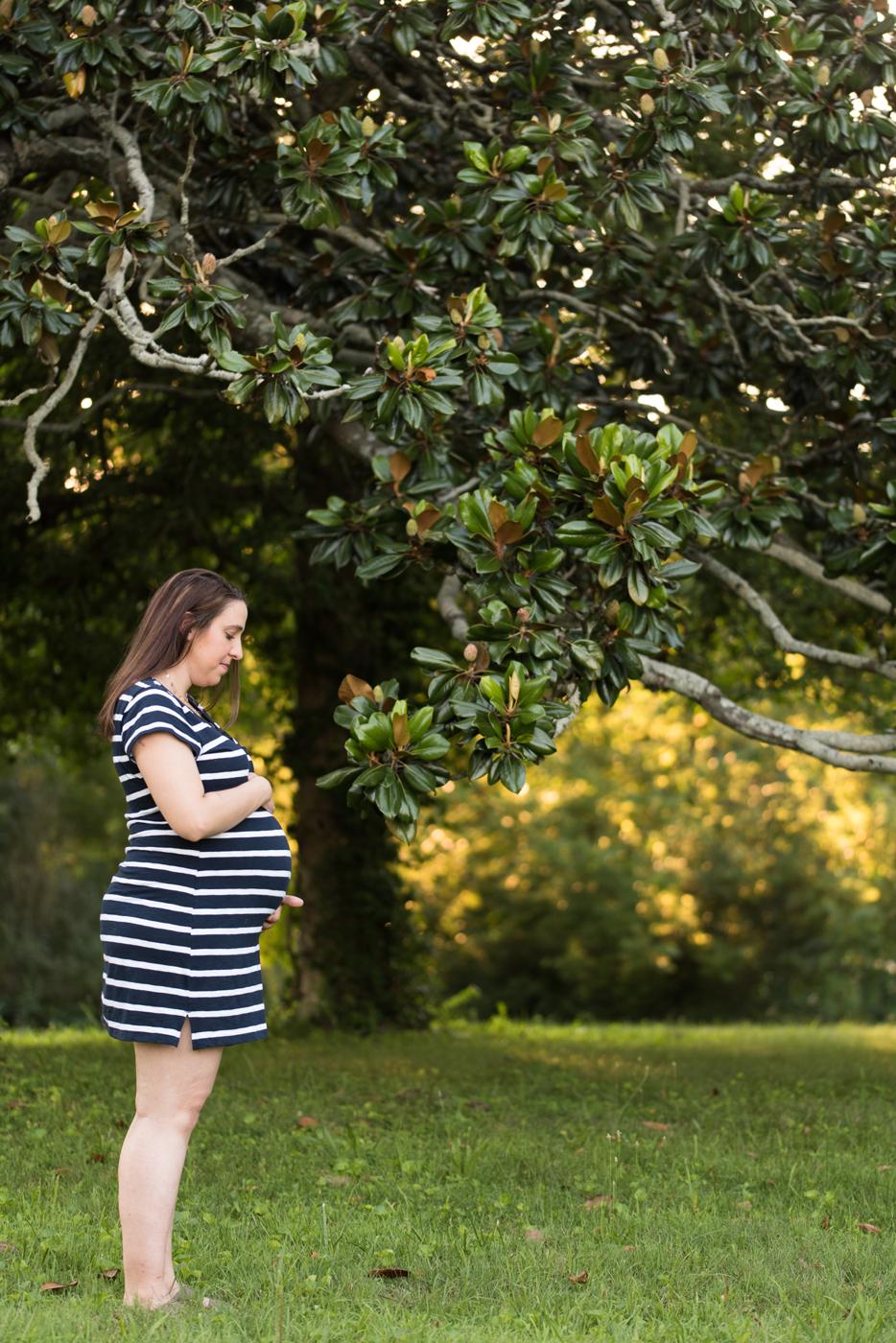 3rd Trimester Pregnancy Update from the Pantry