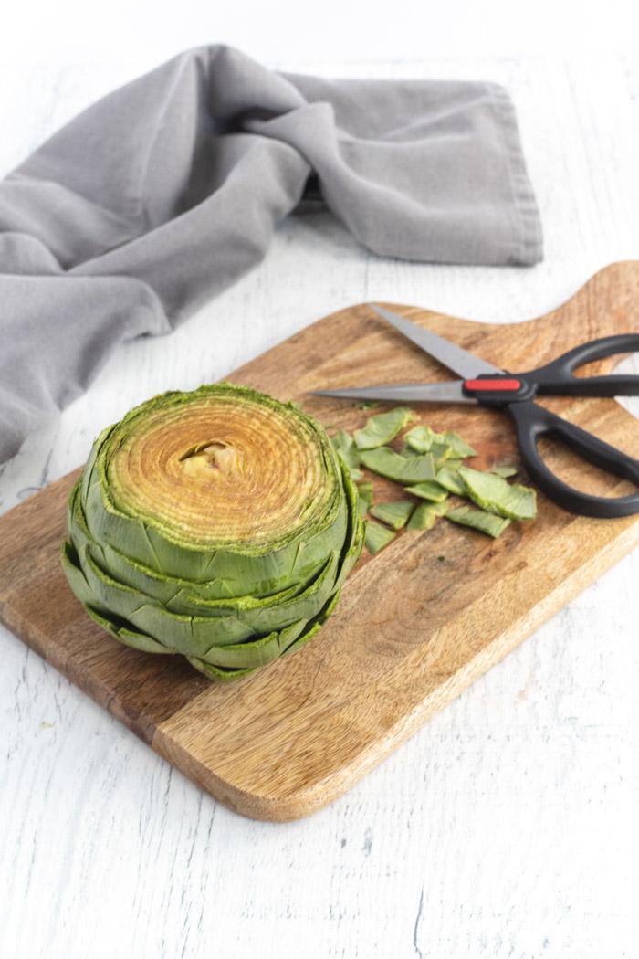 preparing an artichoke by cutting the tips of the leaves