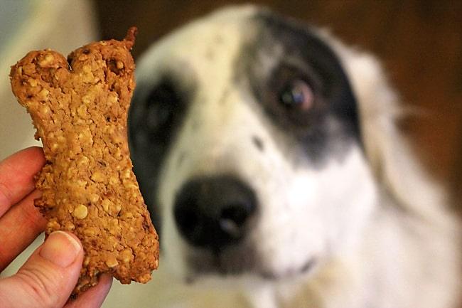 Banana Oat Dog Treats on the Stove