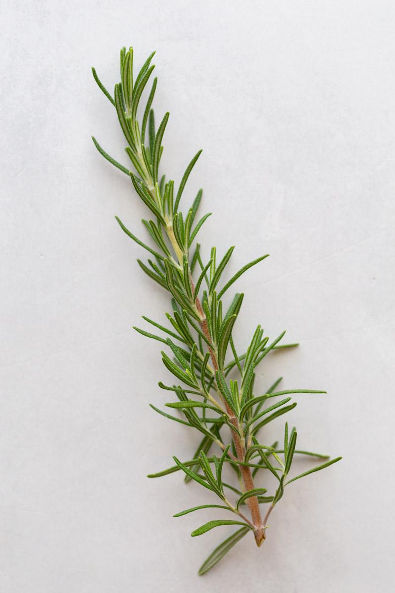 sprig of fresh rosemary