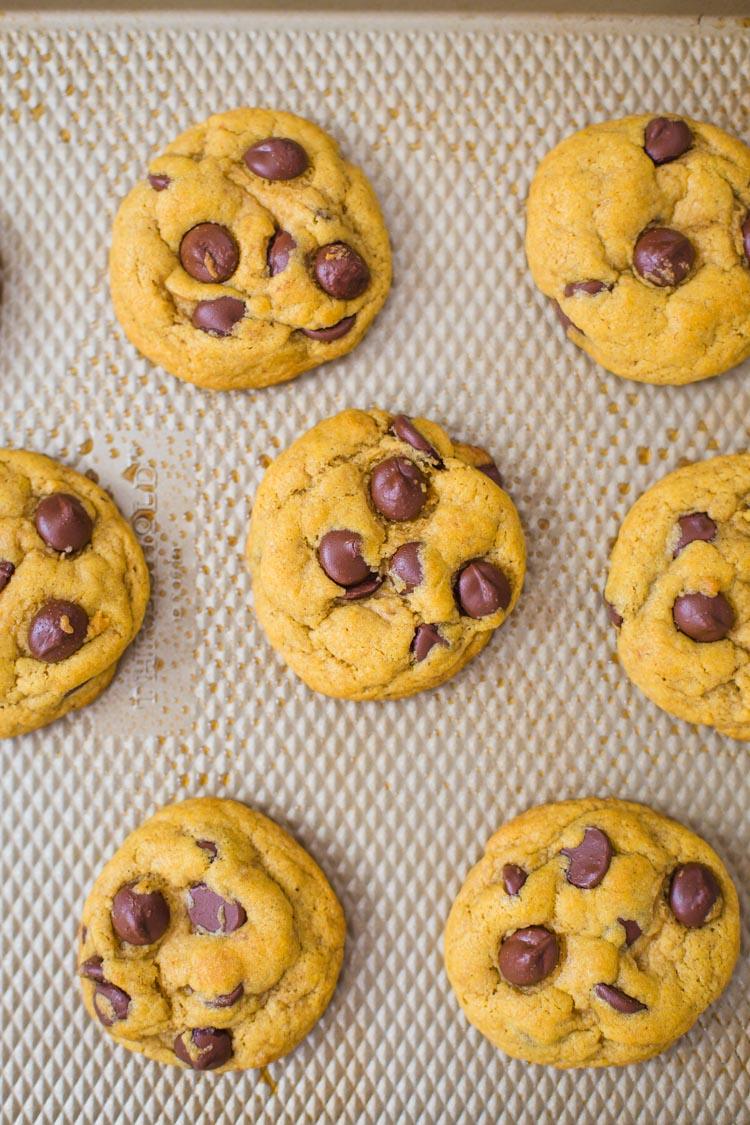 Chocolate Chip Pumpkin Cookies stacked up on a white plate lined up on a baking tray