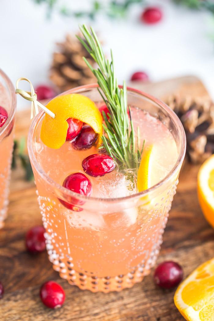 Orange Cranberry Gin and Tonic at Home