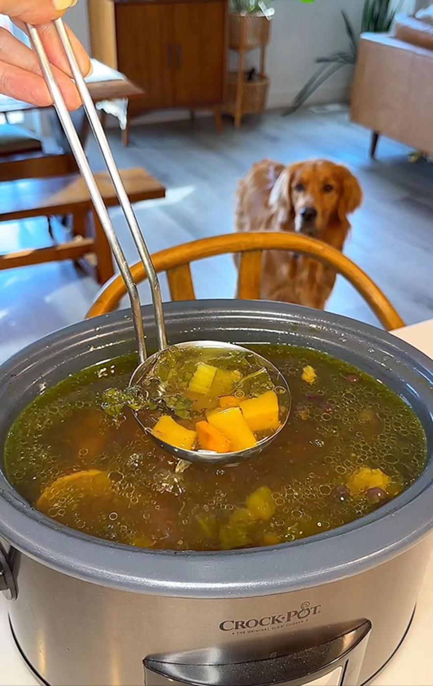 Pumpkin Bone Broth for Dogs from the Pantry