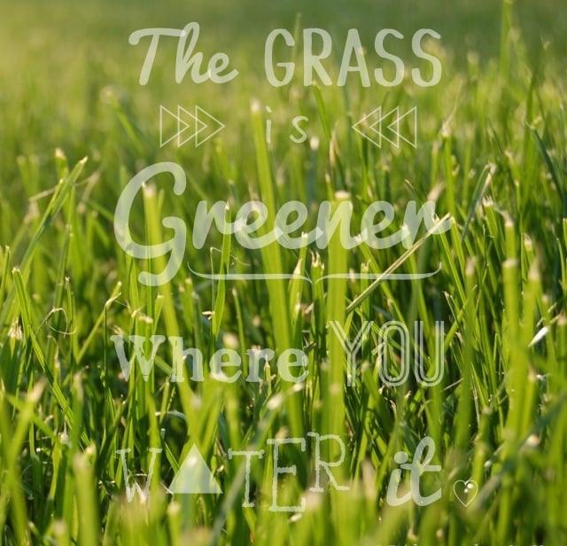 Grass is Greener…, The