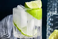Crafting the Perfect Gin Tonic