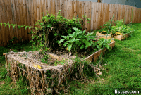 Cultivating Your Autumn Harvest