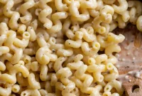 Velvety Cream Sauce Cavatappi