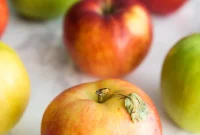 Appetizing A-Foods: A Culinary Exploration