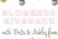 The Bloggers Season of Giving