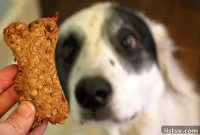 Tail-Wagging Banana Oat Delights