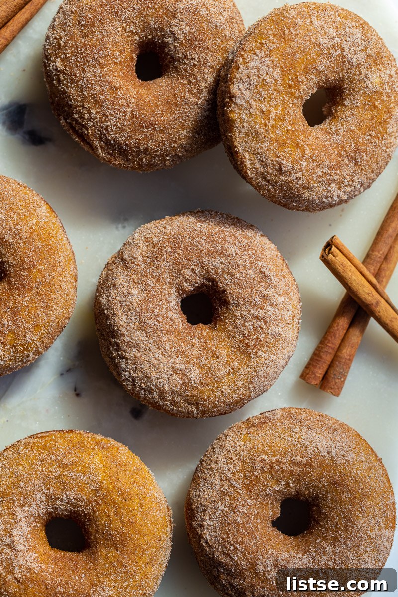 Spiced Pumpkin Donut Delights 3 Close-up of cinnamon sugar baked pumpkin donuts on a tray, highlighting the inviting texture.