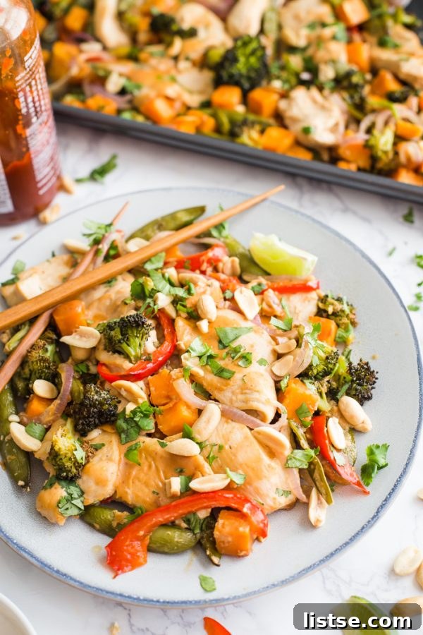 One-Pan Peanut Chicken & Veggie Bake 2 Delicious Sheet Pan Peanut Chicken and Veggies ready to serve, a perfect healthy one-pan dinner.