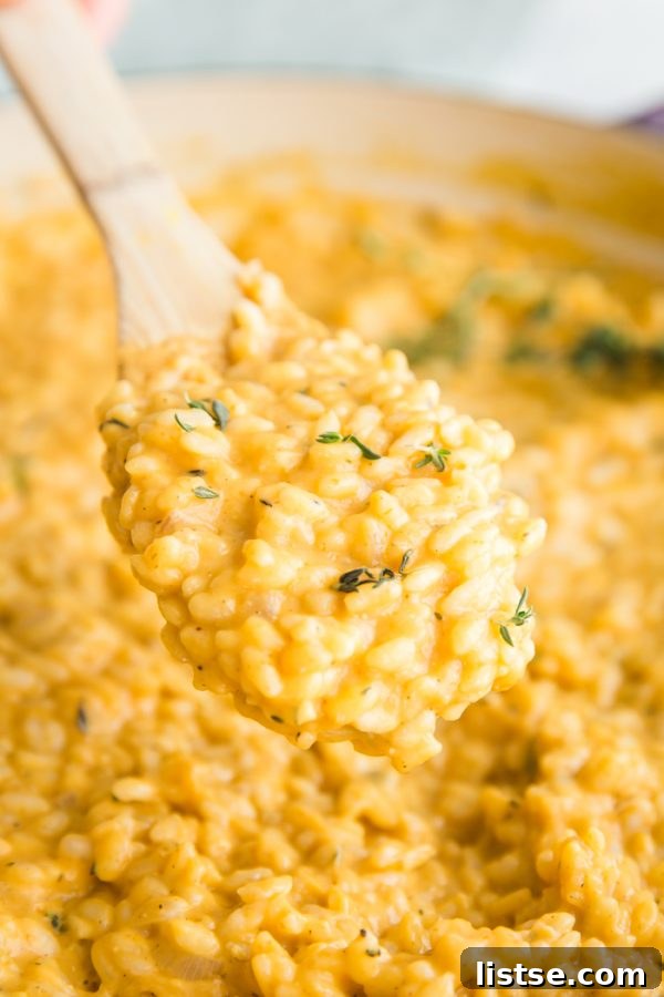 A serving of Pumpkin Goat Cheese Risotto garnished with herbs