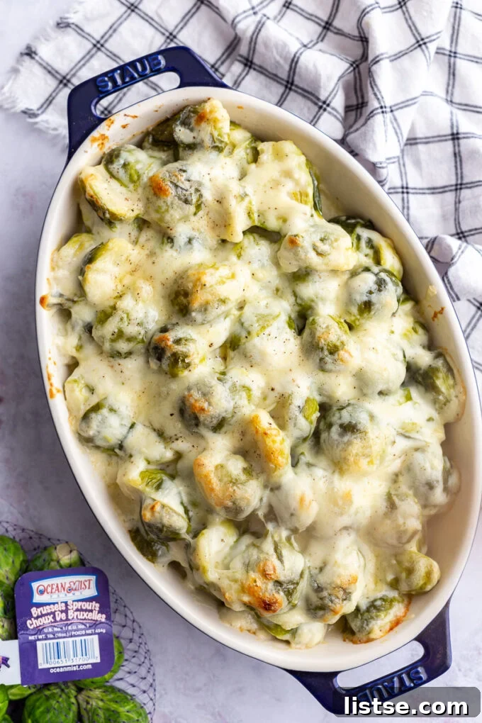 Close-up of a beautifully baked cheesy Brussels sprouts au gratin in a casserole dish.