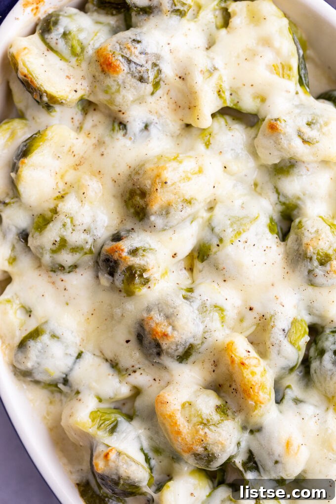 Overhead shot of a full casserole dish of cheesy Brussels sprouts au gratin, freshly baked.