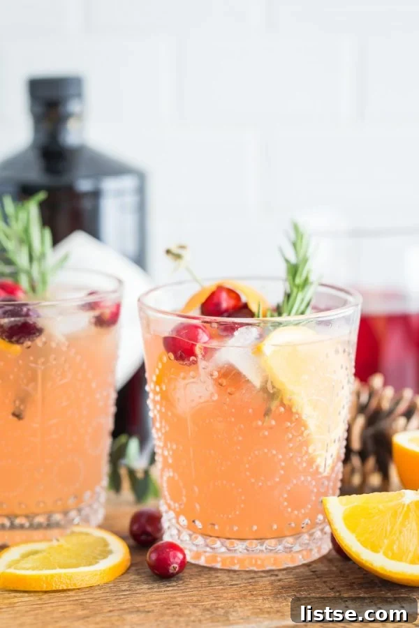 Crimson Citrus Gin Sparkler 2 Orange Cranberry Gin and Tonic, a refreshing and festive cocktail perfect for any occasion.