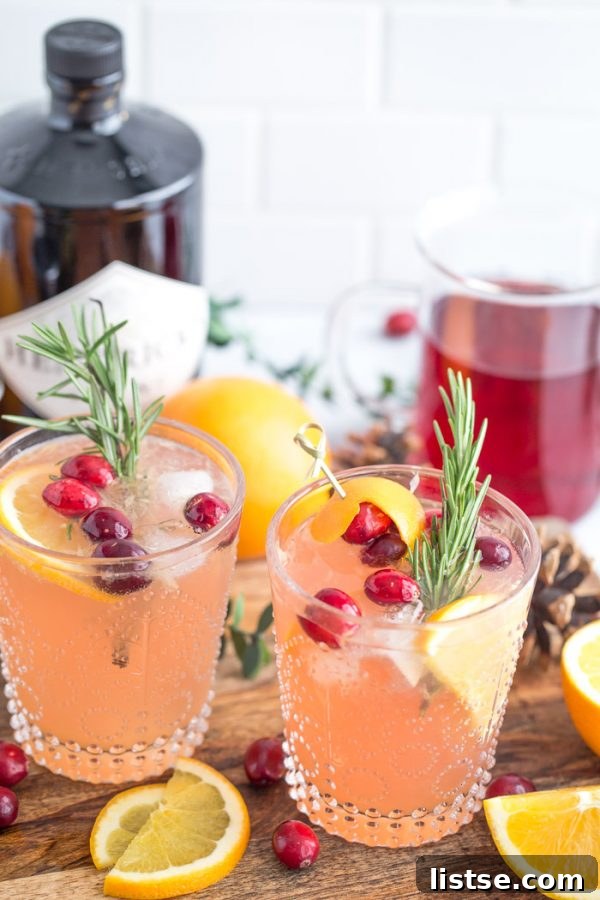 Crimson Citrus Gin Sparkler 5 A festive Orange Cranberry Gin and Tonic, garnished beautifully.