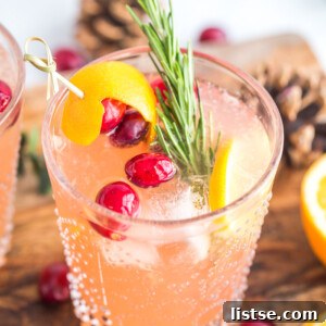 Crimson Citrus Gin Sparkler 6 Orange Cranberry Gin and Tonic