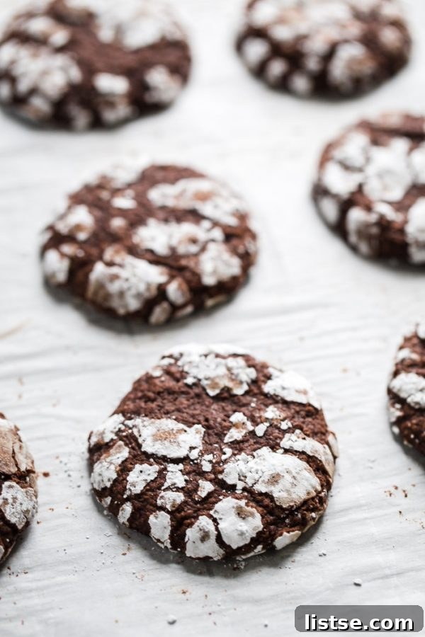 Deliciously fudgy vegan chocolate crinkle cookies dusted with powdered sugar, perfect for festive holiday platters.