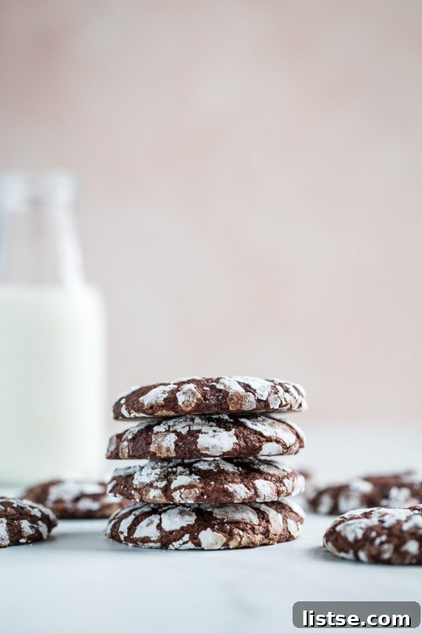 A close-up of a single perfectly baked vegan chocolate crinkle cookie, rich in chocolate and dusted with white powdered sugar.