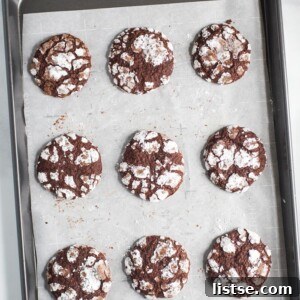 Thumbnail image of a delicious vegan chocolate crinkle cookie, inviting readers to try the recipe.