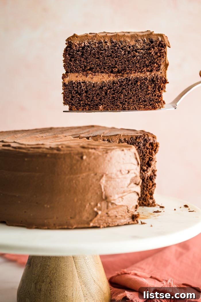 Velvet Vegan Chocolate Cake 2 A delectable slice of fluffy vegan chocolate cake, perfectly frosted and ready to be enjoyed.