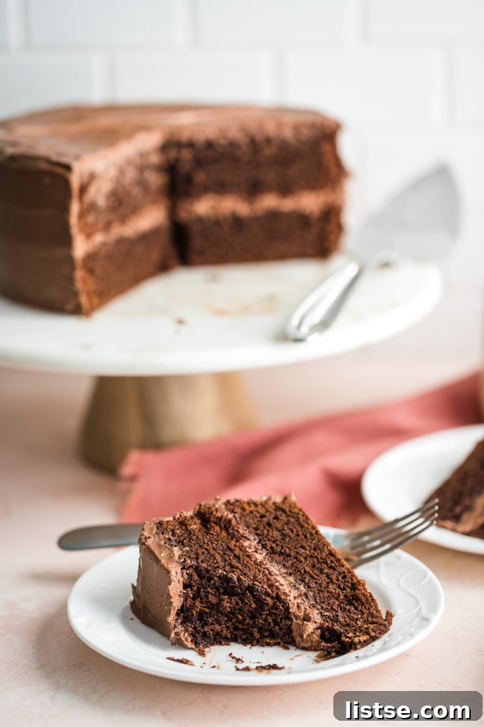 Velvet Vegan Chocolate Cake 7 A close-up of a single slice of vegan chocolate cake, showcasing its rich color and smooth frosting.