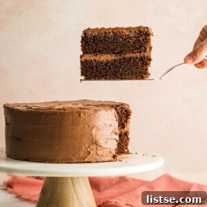 Vegan Chocolate Cake