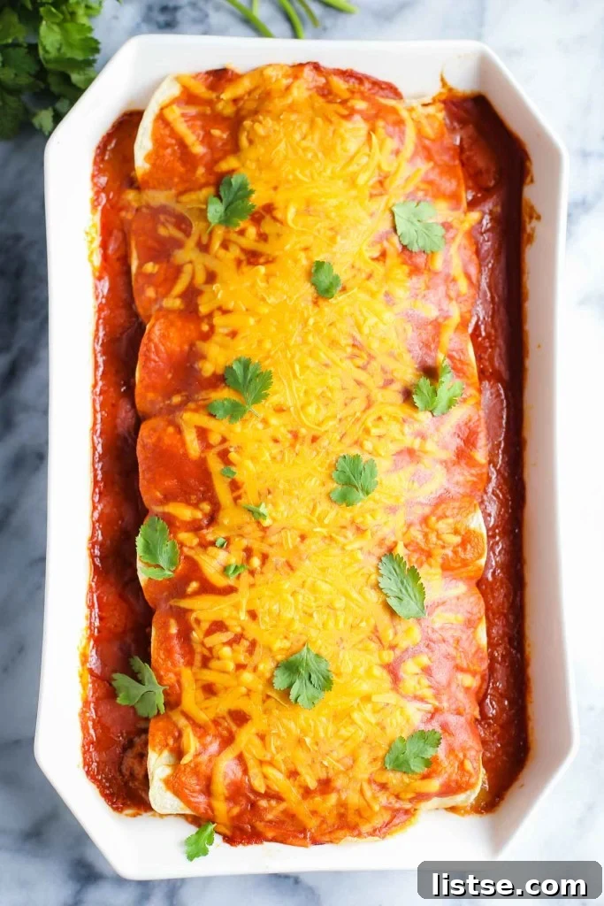 Cheesy vegan enchiladas, perfectly baked and garnished.