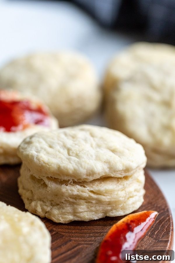 Stack of freshly baked vegan biscuits, golden brown and fluffy, ready to be enjoyed.