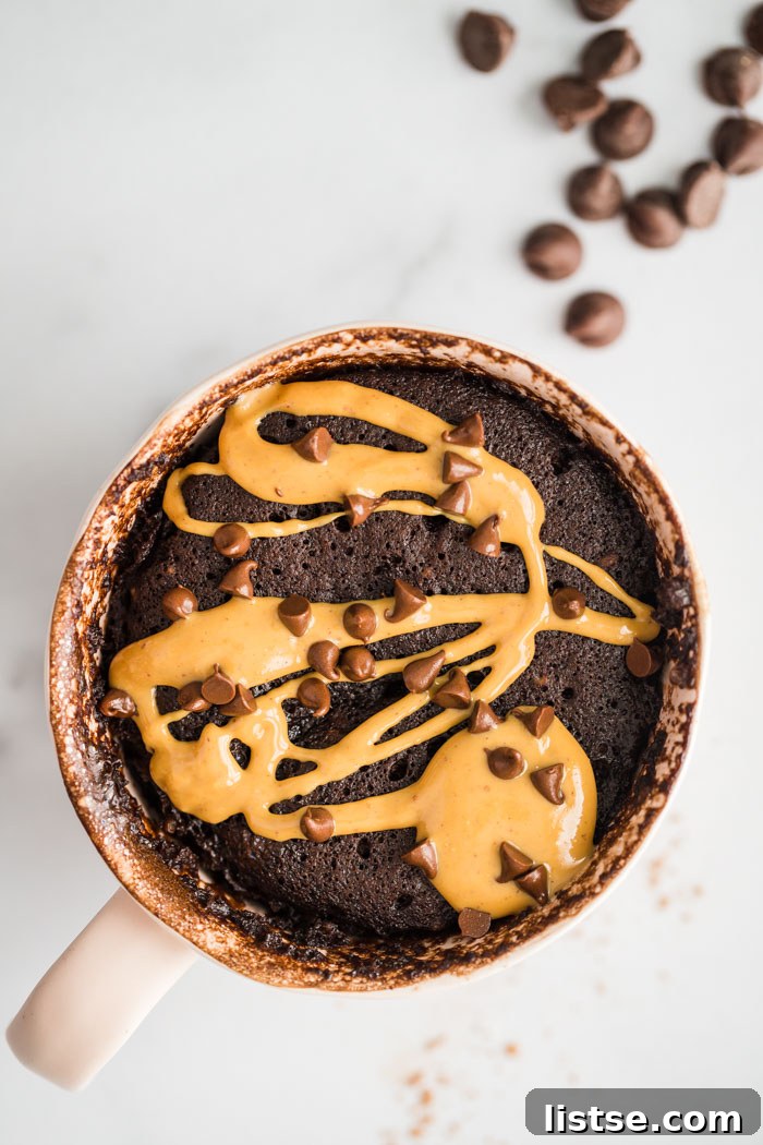 chocolate cake in a mug, ready to be eaten