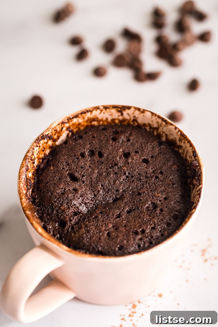 chocolate cake in a mug, garnished with chocolate chips
