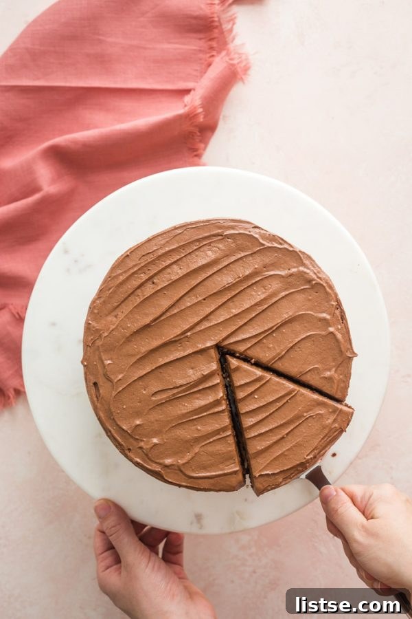 Silky Vegan Chocolate Dream Frosting 5 Perfectly smooth and glossy vegan buttercream frosting