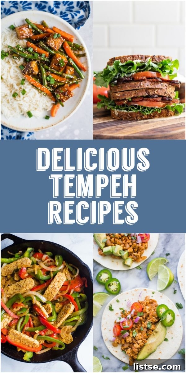 Diverse collection of delicious tempeh recipes arranged beautifully, showcasing various culinary applications.
