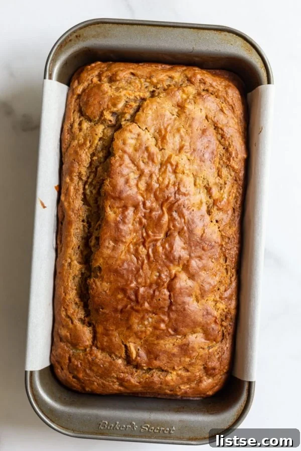 Vegan Carrot Cake Bread 3 Moist and fluffy Vegan Carrot Loaf, freshly baked and ready to be sliced, garnished with a few nuts.
