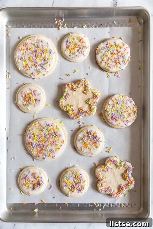 beautifully decorated vegan iced sugar cookies