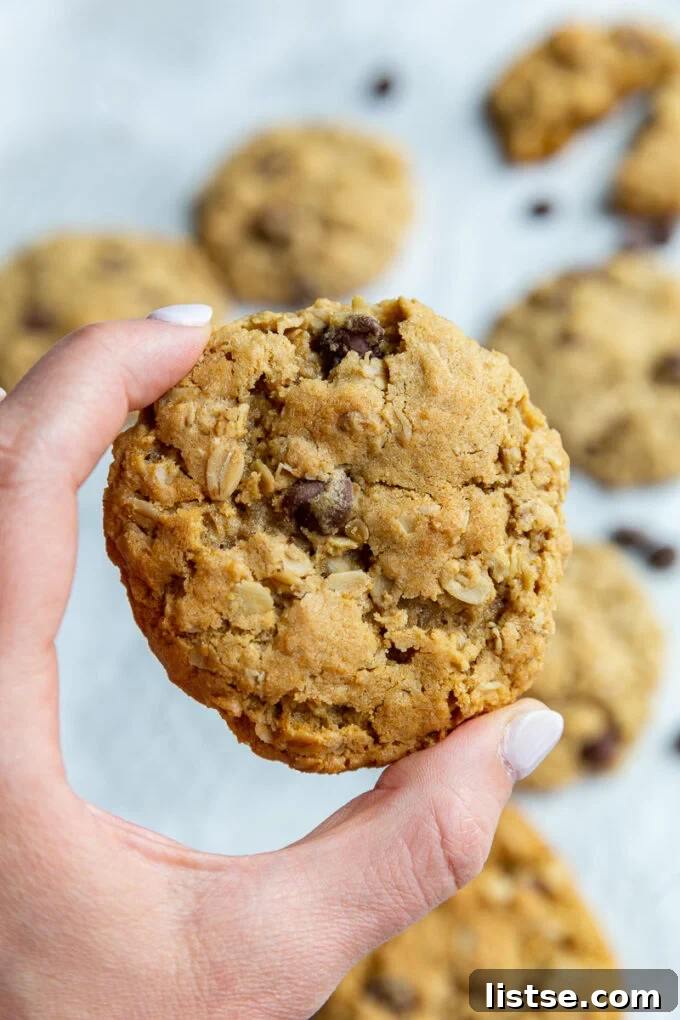 A hand gently holding a warm, freshly baked vegan oatmeal cookie, inviting a bite.