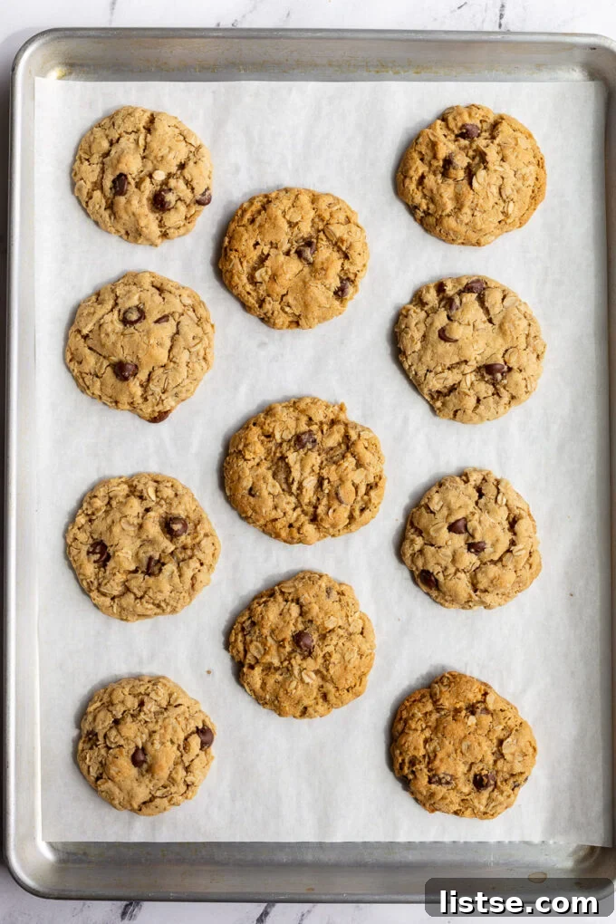 A tray full of golden, freshly baked vegan oatmeal cookies, cooling down.