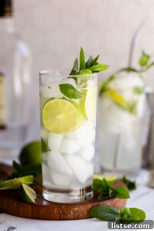 A vibrant Classic Mojito cocktail in a tall, slender glass, garnished generously with fresh mint sprigs and lime wedges, sitting on a light-colored surface.
