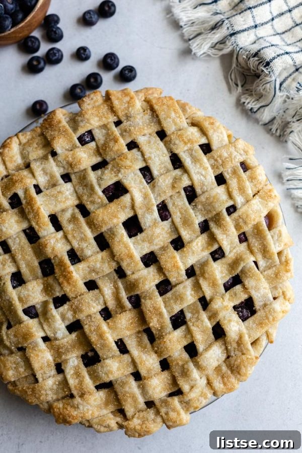 Vegan blueberry pie with lattice crust
