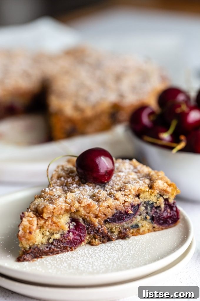 A freshly baked chocolate cherry coffee cake, still in its round pan, with a beautifully browned and textured crumble topping.