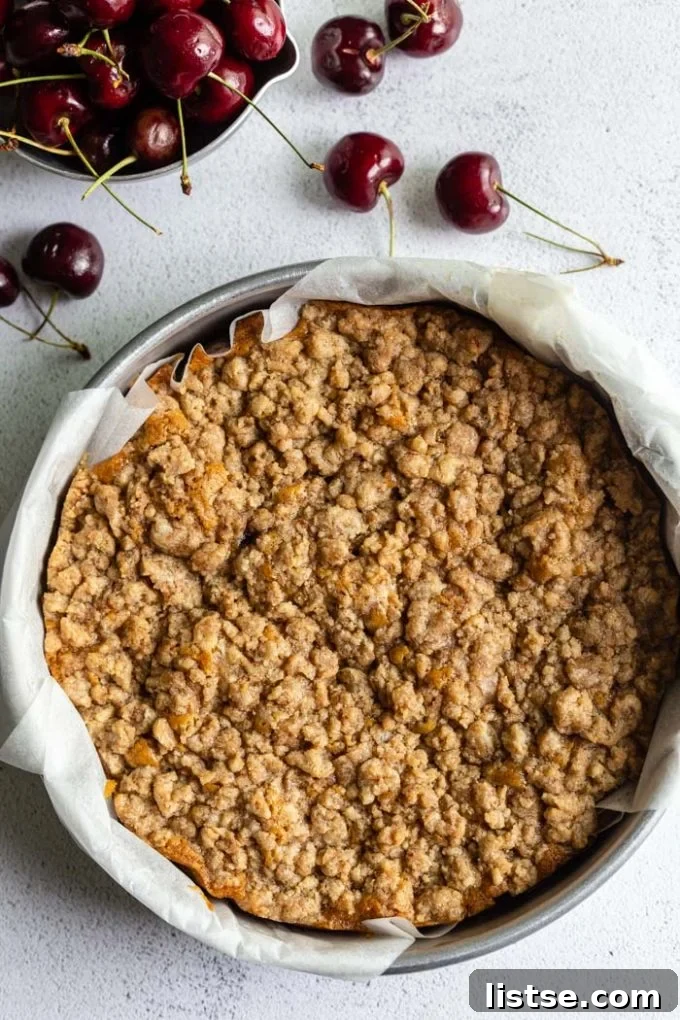 An overhead shot of a vegan chocolate cherry coffee cake slice, showcasing the layers of cake, fruit, chocolate, and crumble.