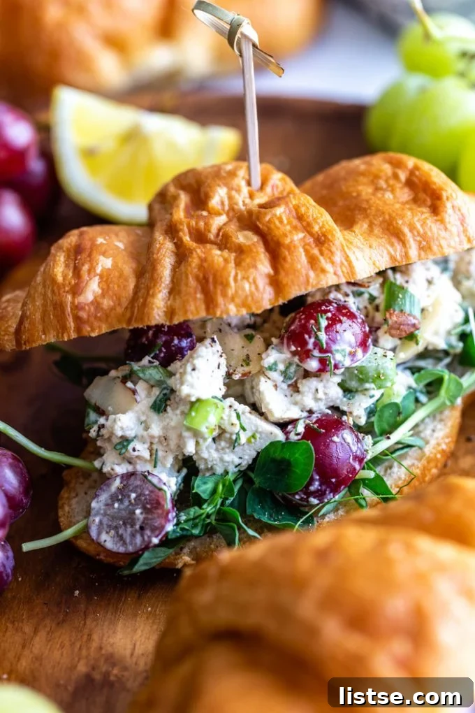  "vegan chicken salad" that has chunks of tofu, veggies and grapes in it thats stuffed in a croissant with a toothpick through the top to hold the sandwich together