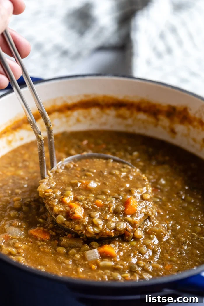 One-Pot Vegan Lentil Soup 9 large pot of vegan lentil soup with veggies. a ladle is dipping into the pot to pull up a scoop full of the soup