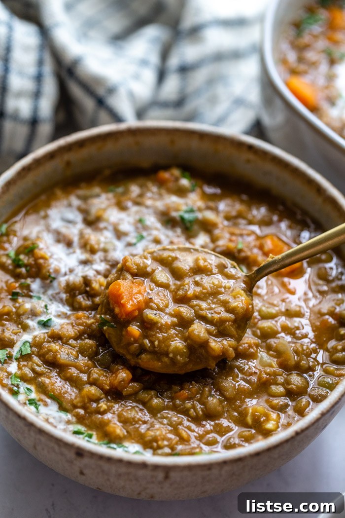 One-Pot Vegan Lentil Soup 10 up close shot of a bowl of brown lentil soup with carrots in it