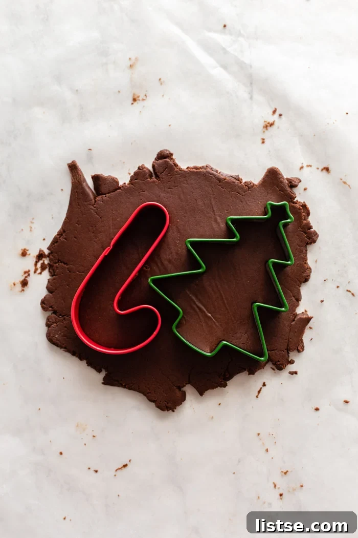 chocolate cookie dough rolled out with 2 cookie cutters sitting on top