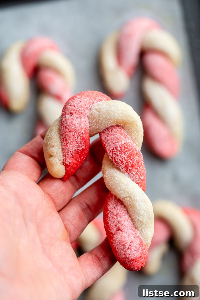 Holiday Peppermint Twists 3 A hand holding up a perfectly twisted red and white vegan candy cane cookie, with more festive cookies blurred in the background on parchment paper.