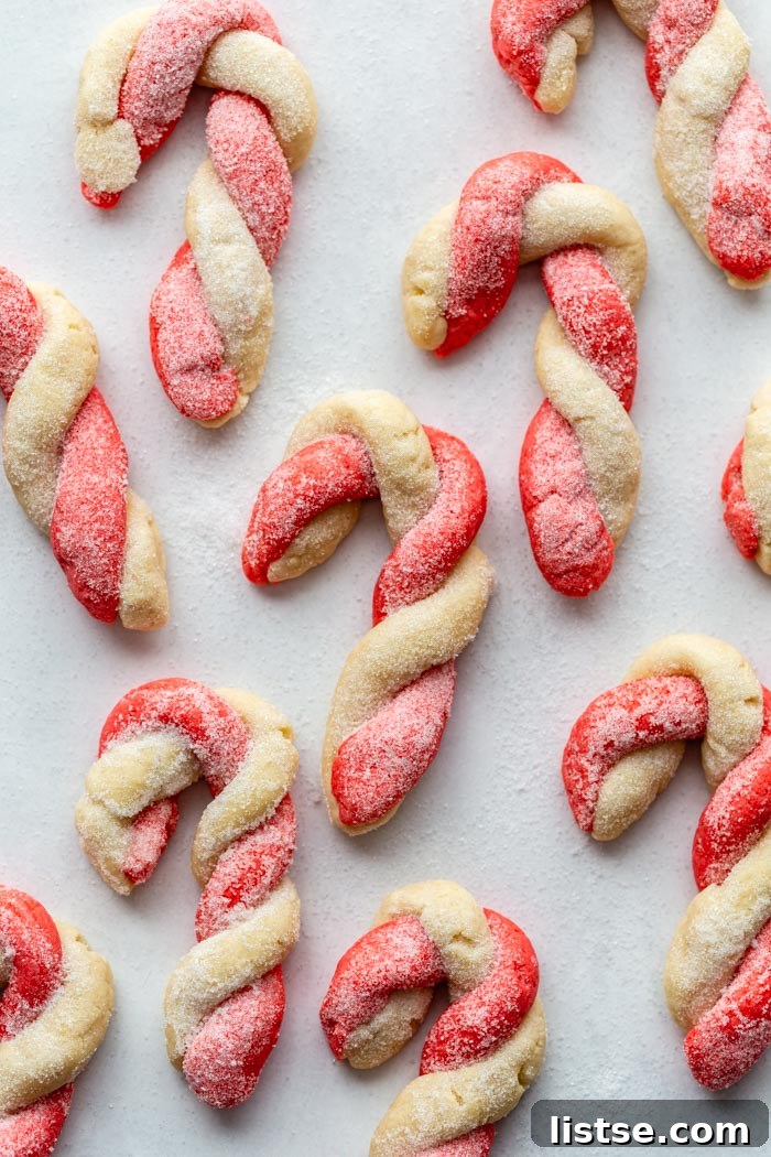 Holiday Peppermint Twists 5 A close-up of numerous red and white vegan candy cane cookies arranged artfully on parchment paper, showcasing their perfect twist and vibrant colors.