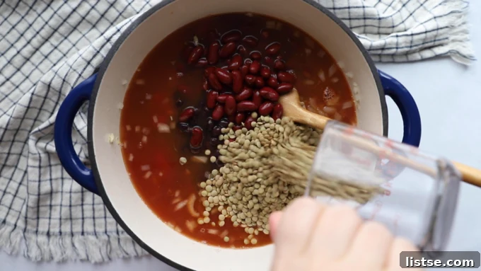 All the core ingredients for lentil chili, including broth, lentils, tomato sauce, diced tomatoes, kidney and black beans, are being poured into a large pot.