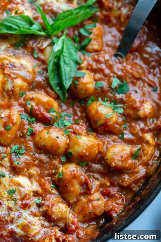 Sun Ripened Tomato Gnocchi 4 skillet with tomato sauce and gnocchi covered with cheese and garnished with fresh basil. spoon sticking out the side